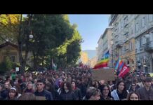 Thousands March in Trieste in Support of Gaza, Disrupting Traffic Near Port