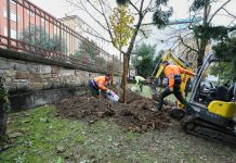 Trieste Marks National Trees Day With New Plantings Across the City