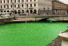Environmental Activists Turn Trieste’s Ponterosso Canal Green