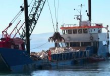 Trieste Undertakes Coastal Restoration to Protect Barcola Waterfront