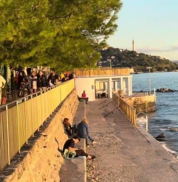 A Warm November Grace Touches Friuli Venezia Giulia