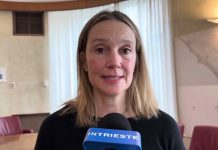 Trieste Sees Increase in Domestic Violence Cases, Driven by Greater Reporting