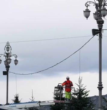 Trieste Begins Holiday Season as Christmas Trees Rise in Piazza Unità