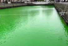 Environmental Activists Turn Trieste’s Ponterosso Canal Green