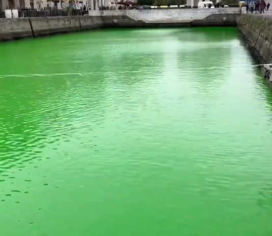 Environmental Activists Turn Trieste’s Ponterosso Canal Green