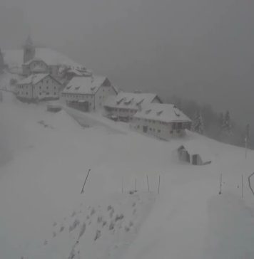 Winter Hits Friuli Venezia Giulia: Yellow Alert from Monday