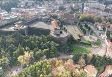 Friuli Venezia Giulia in Focus: Mid-Week Key Developments