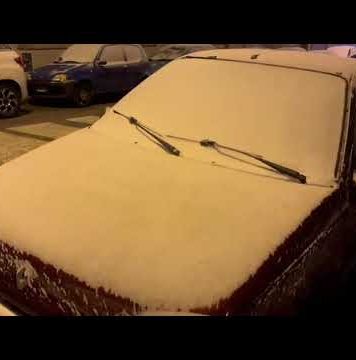 Trieste Closes Schools as Snow and Bora Winds Paralyze Northeastern Italy