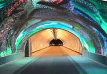 A Digital Art Debut in Gorizia Draws Crowds, Surpassing Expectations