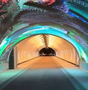 A Digital Art Debut in Gorizia Draws Crowds, Surpassing Expectations