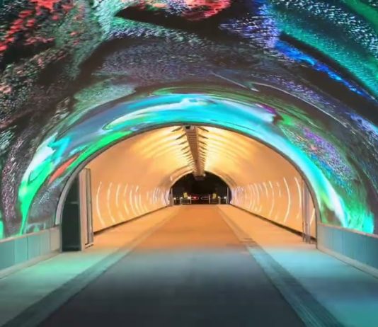 A Digital Art Debut in Gorizia Draws Crowds, Surpassing Expectations