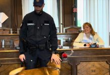 Trieste Police Dog Unit Reports Early Success in Drug Seizures