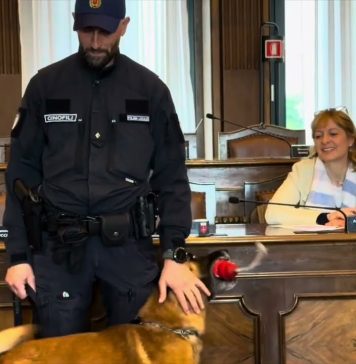 Trieste Police Dog Unit Reports Early Success in Drug Seizures