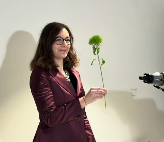 Trieste Opens a New Hub for Technology, Culture and Inclusion