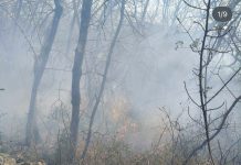 Fire Near Aurisina Moves Into Containment Phase as Crews Remain on Scene