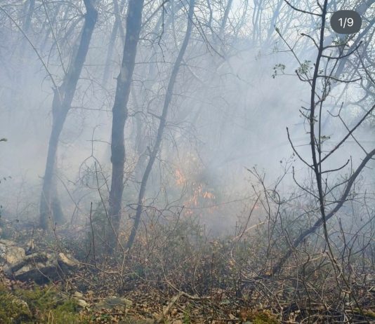 Fire Near Aurisina Moves Into Containment Phase as Crews Remain on Scene