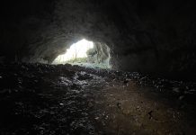 Exploring Bear Cave: A Journey from Botany to Prehistory in Trieste