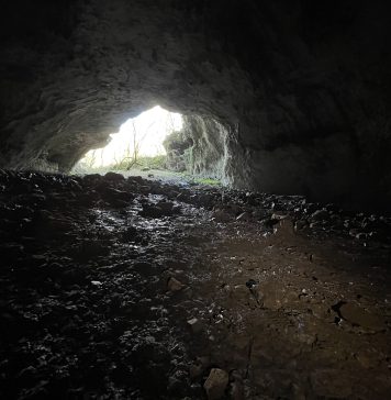 Exploring Bear Cave: A Journey from Botany to Prehistory in Trieste