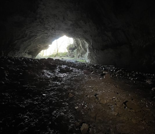 Exploring Bear Cave: A Journey from Botany to Prehistory in Trieste