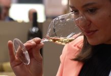 Friuli Venezia Giulia in Focus: This Week’s Key Developments