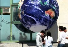 Earth Day Screening Explores Nature Through Honeyland