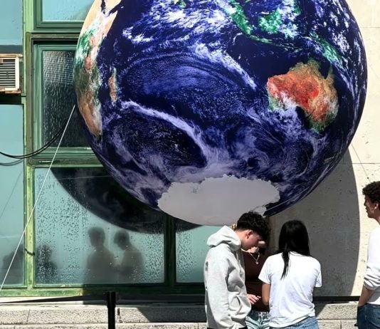 Earth Day Screening Explores Nature Through Honeyland