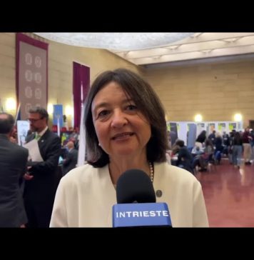 Career Day Connects Students With Employers at the University of Trieste