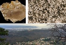 Trieste Museum Program Combines Dinosaur Science and Karst Geology Walks on May 16