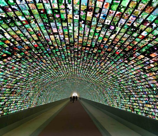Digital Art Gallery in Gorizia Extends Summer Hours as Visitor Season Begins