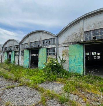 Ghosts of Prosecco: The Forgotten Animal Transit Hub at the Heart of Trieste’s Slaughterhouse Debate