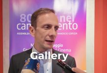 Gorizia En Route to Becoming FVG’s Commercial Hub