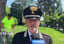 Trees Planted in Trieste Honor Fallen Journalists