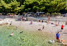 Trieste Opens Its First Dog Beach Along the Barcola Waterfront