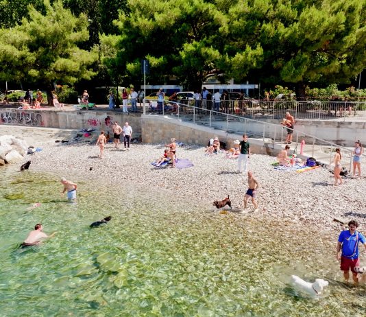 Trieste Opens Its First Dog Beach Along the Barcola Waterfront