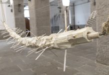 Immersive Exhibition “Balena” Inaugurated at the Museum of the Sea in Porto Vecchio