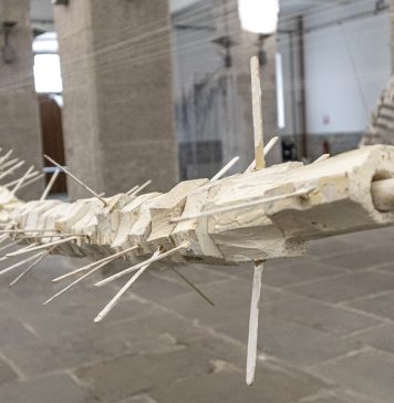 Immersive Exhibition “Balena” Inaugurated at the Museum of the Sea in Porto Vecchio