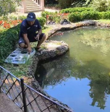 Fish Die-Off at Historic Trieste Park Linked to Low Oxygen Levels Amid Heat Wave