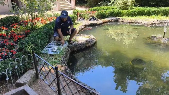 Un tecnico dell'Arpa Fvg al lavoro allo stagno di Villa Revoltella a Trieste