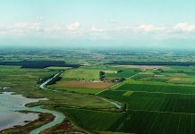 Muzzana del Turgnano Looks to Truffle Tourism as Part of Broader Growth Strategy