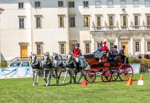 Carriages Return to Villa Manin for International Heritage Competition