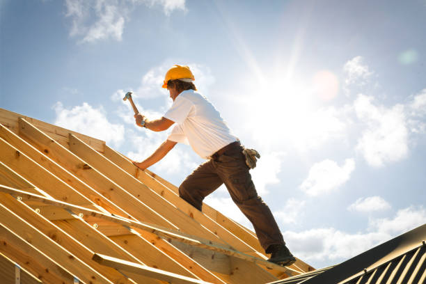 carpenter