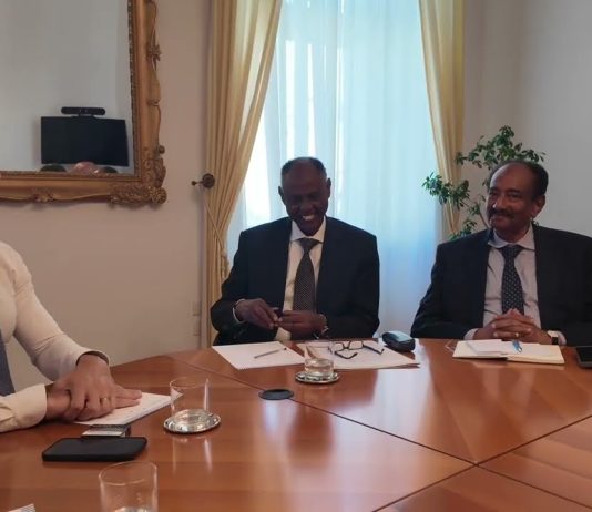 FVG Explores Workforce Training Partnership With Somalia