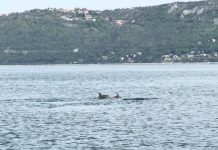 Friuli Venezia Giulia Ranks Second in Italy for Bathing Water Quality