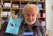 Trieste’s ShorTS International Film Festival Returns With Global Lineup
