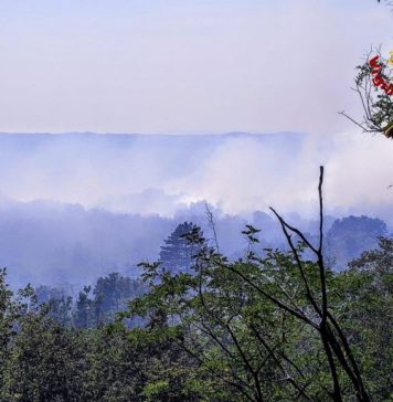 Wildfire Erupts on Karst Plateau Near Monrupino, Prompting Major Emergency Response