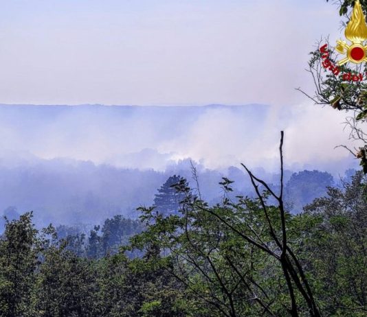 Wildfire Erupts on Karst Plateau Near Monrupino, Prompting Major Emergency Response
