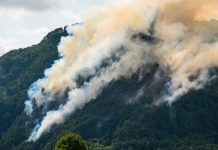FVG Declares Highest Wildfire Alert as Heat and Drought Raise Fire Risk