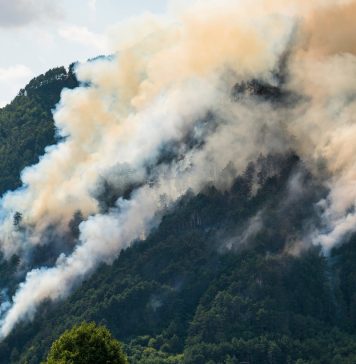 Karst Wildfire Breaks Out Near Homes Outside Trieste
