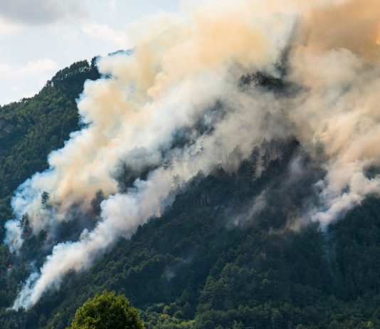 FVG Declares Highest Wildfire Alert as Heat and Drought Raise Fire Risk