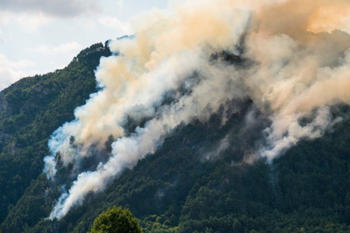 Big fire in a mountain forest with a lot of smoke